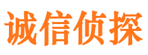 泾源侦探